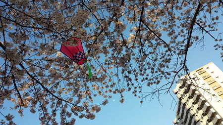 20150331_165500