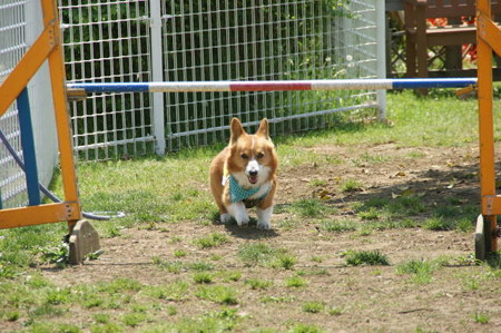 DSC04835