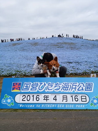 IMG_20160416_111418