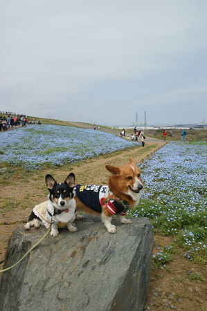 DSC05831