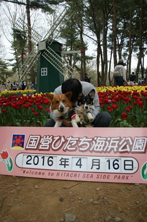 DSC05921