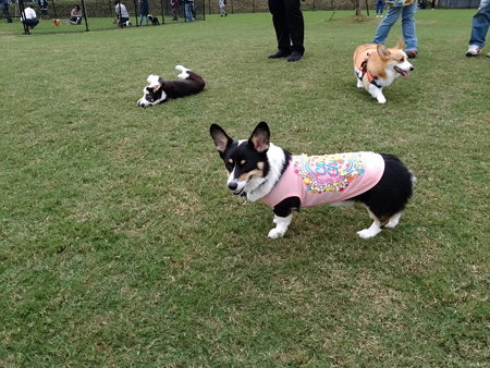 IMG_20161010_134753