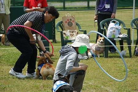 DSC09520