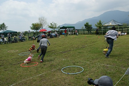 DSC09572
