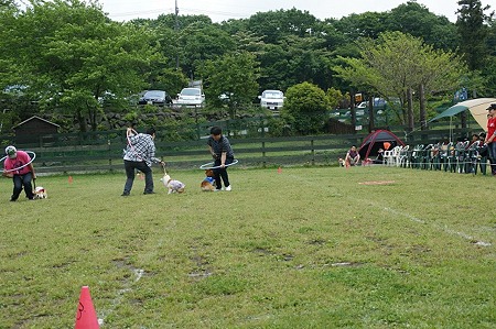DSC09618