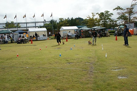 DSC03390