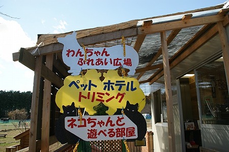 DSC05058