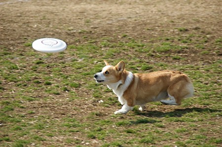 DSC08524