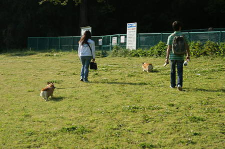 DSC00214