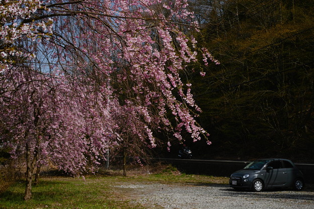 SDIM0042