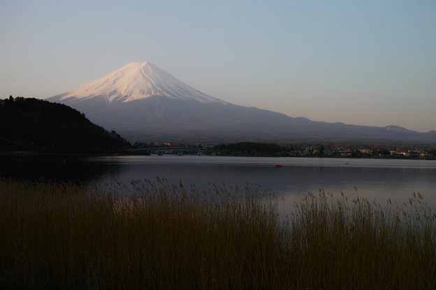 SDIM0005