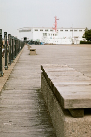 CONTAX159MM_Kodak_PORTRA160NC05092011-10