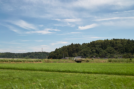 Sky_and_Green07082011dp2