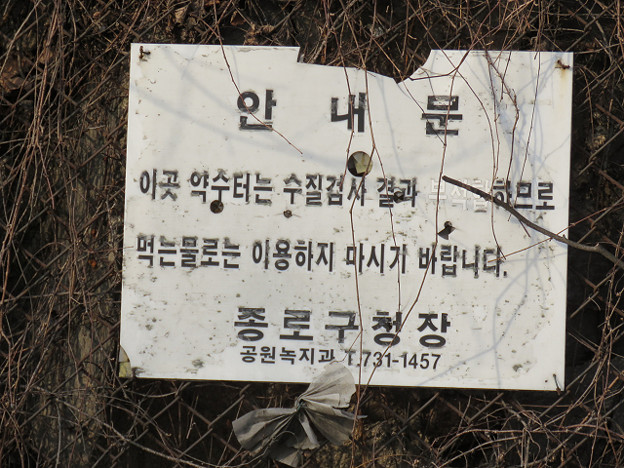 resize2597 写真: resize2597