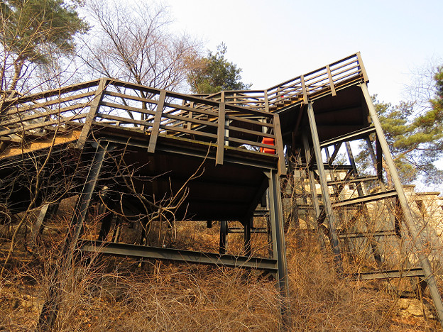 resize2609 写真: resize2609
