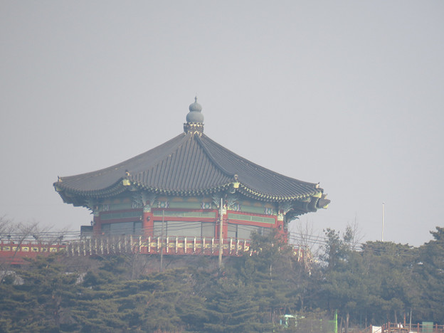 resize2612 写真: resize2612