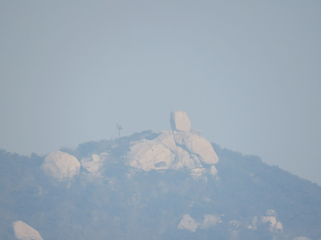 resize2631 写真: resize2631
