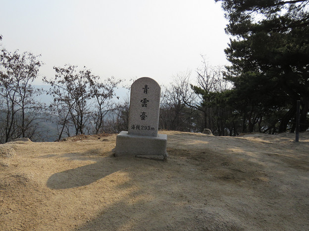 resize2637 写真: resize2637
