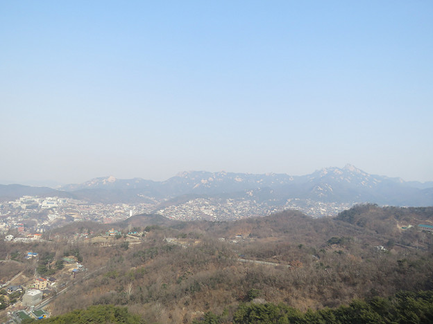 resize2645 写真: resize2645