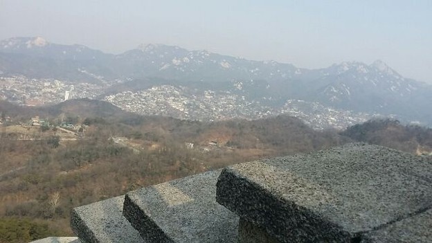 1427064809208 写真: 1427064809208