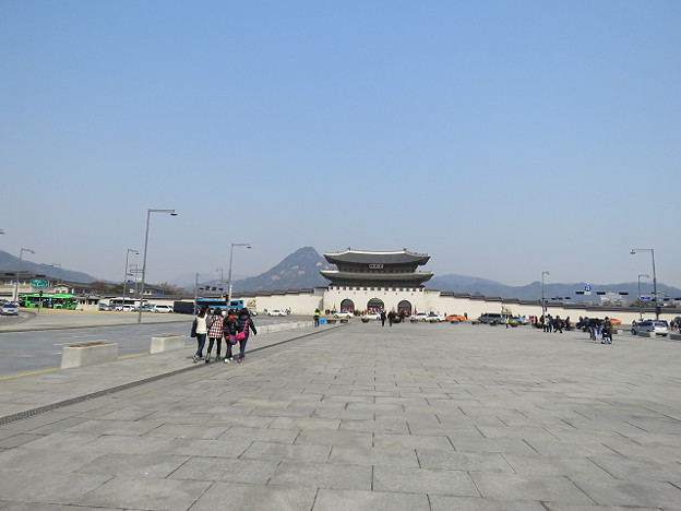 resize2683 写真: resize2683