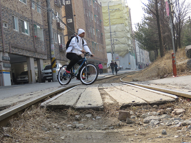 resize2737 写真: resize2737