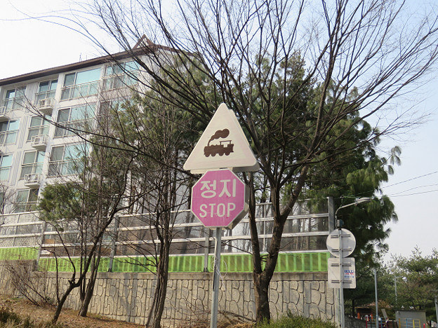 resize2739 写真: resize2739
