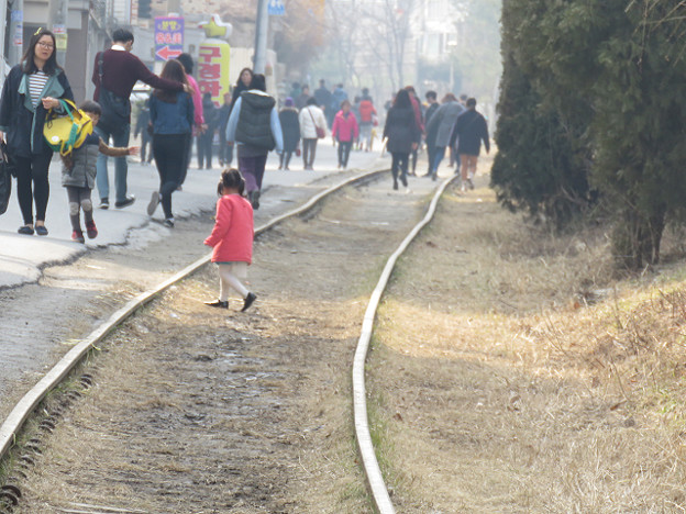 resize2740 写真: resize2740