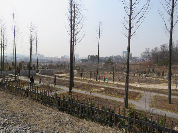 resize2766 写真: resize2766