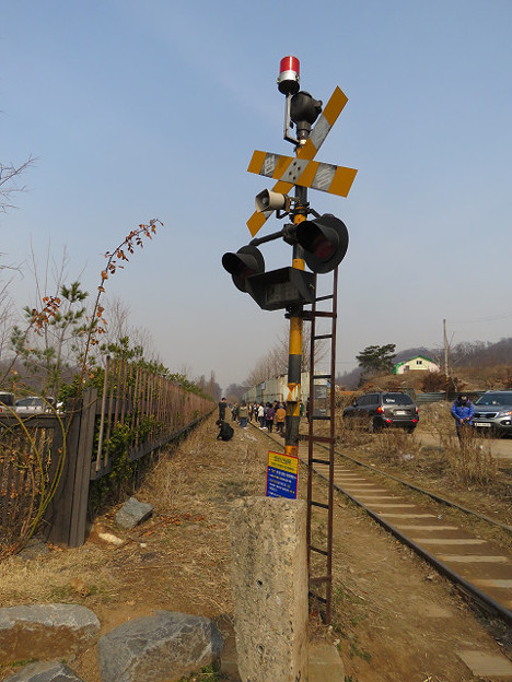 resize2771 写真: resize2771