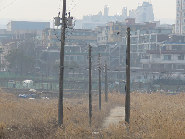resize2773 写真: resize2773