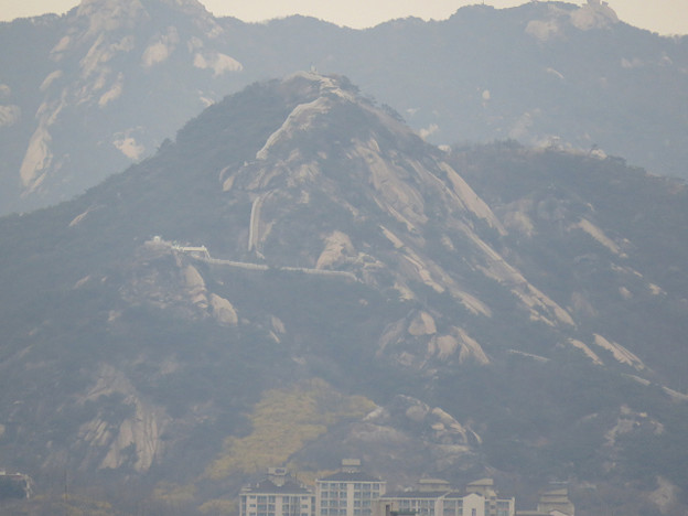 resize3004 写真: resize3004