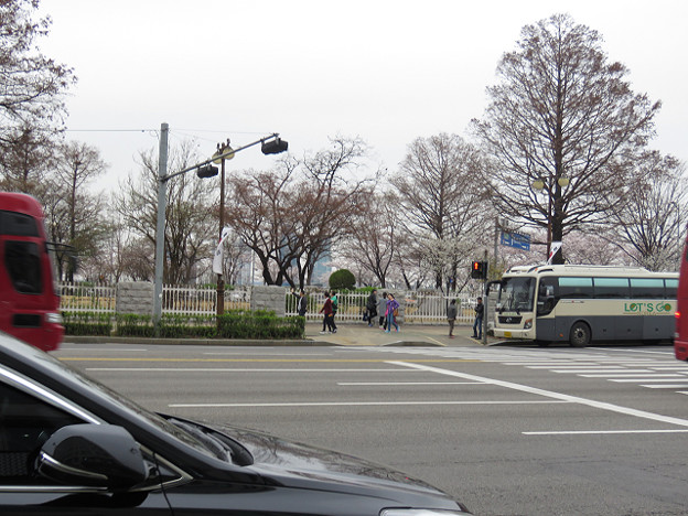 resize3018 写真: resize3018