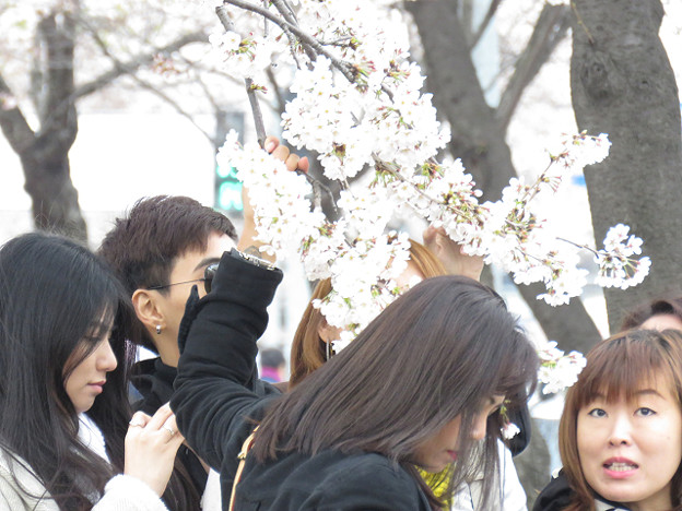 resize3026 写真: resize3026