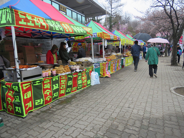 resize3051 写真: resize3051