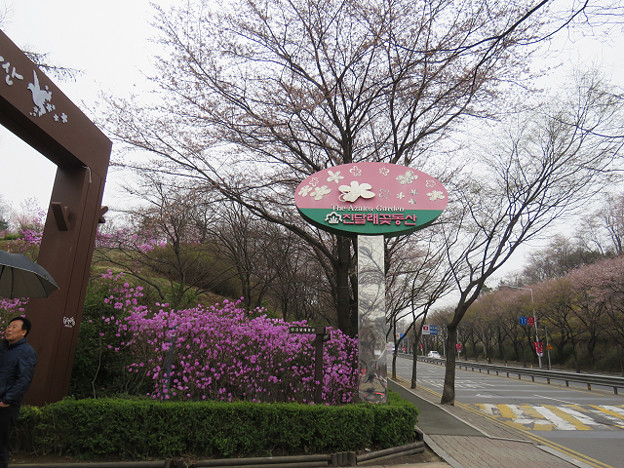 resize3052 写真: resize3052