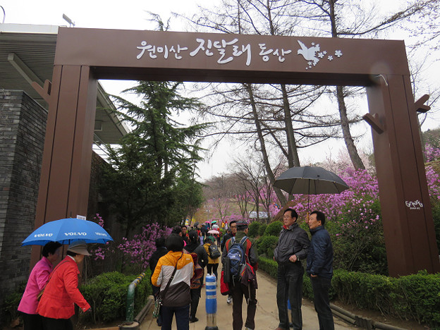 resize3053 写真: resize3053