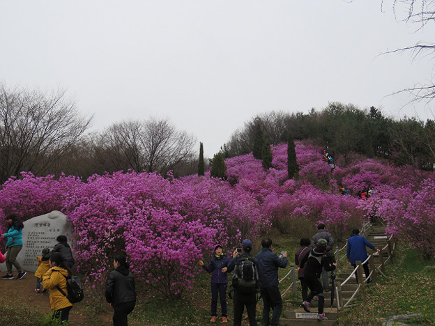 resize3057 写真: resize3057