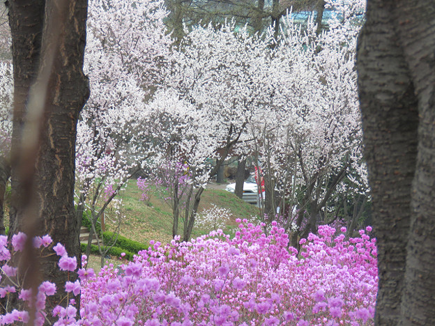 resize3072 写真: resize3072