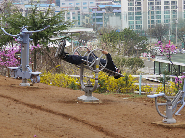resize3095 写真: resize3095