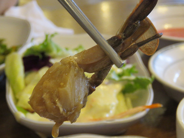resize3115 写真: resize3115
