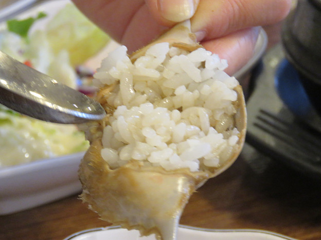 resize3121 写真: resize3121