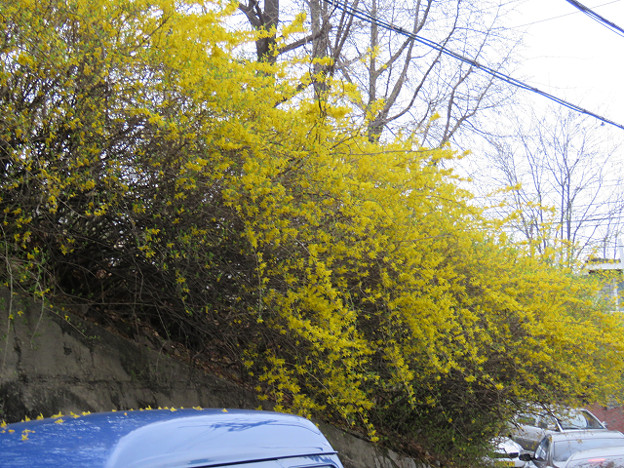 resize3137 写真: resize3137