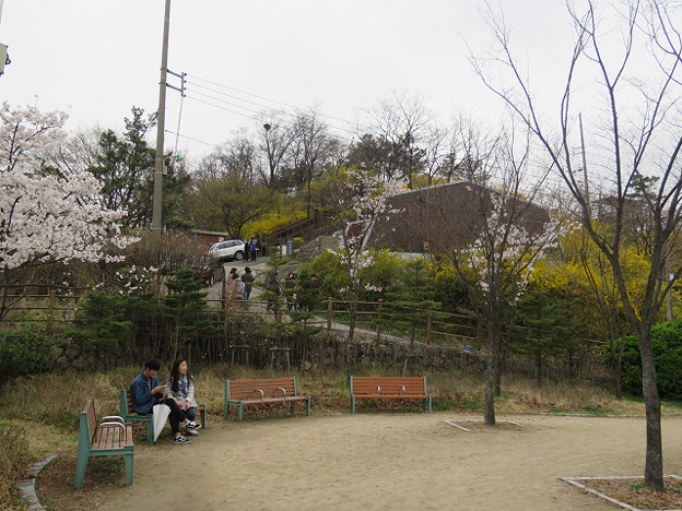 resize3141 写真: resize3141