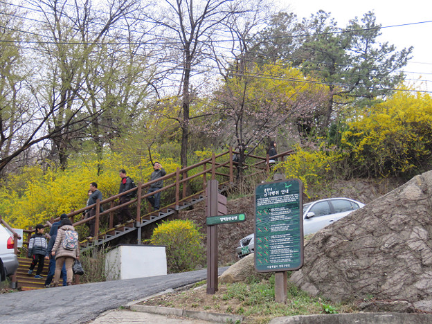 resize3142 写真: resize3142
