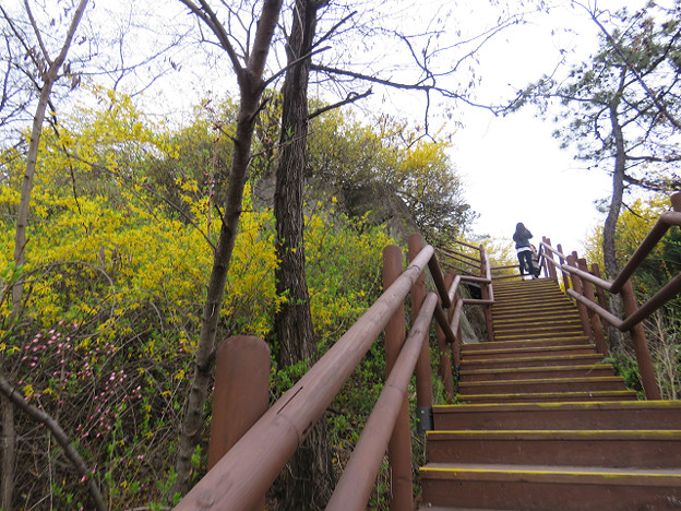 resize3143 写真: resize3143