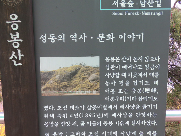 resize3165 写真: resize3165