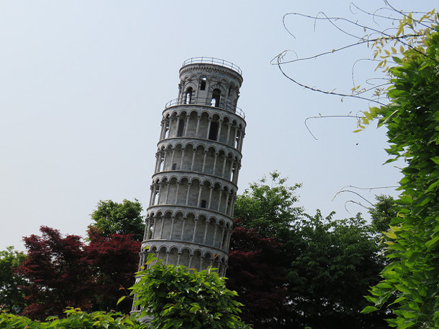 resize0031 写真: resize0031