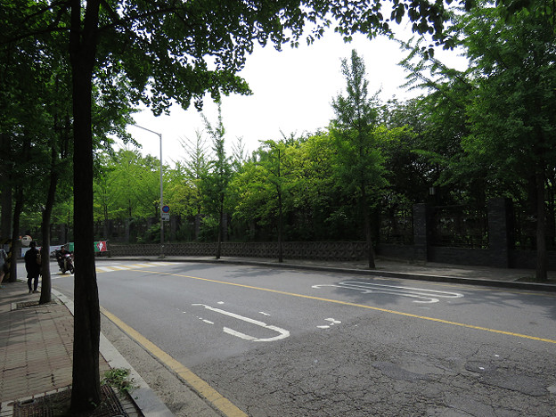 resize2848 写真: resize2848