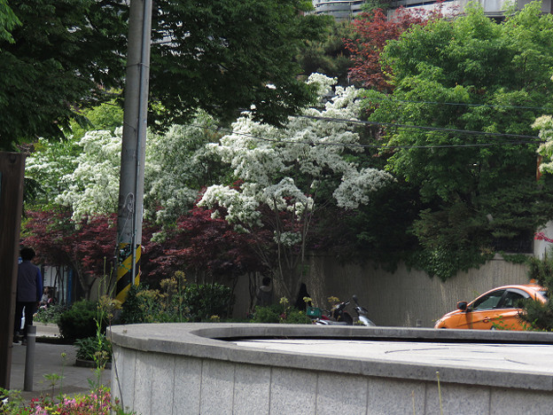 resize2849 写真: resize2849
